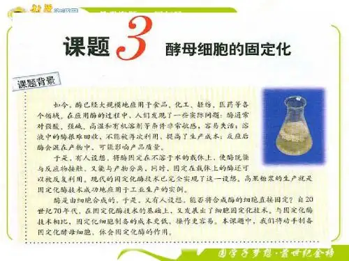 生物：4.3《酵母细胞的固定化》课件(新人教版选修1)