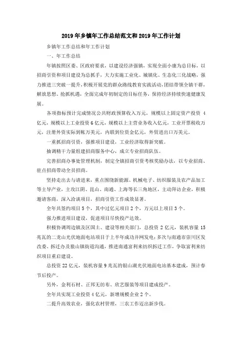 最新-2019年乡镇年工作总结范文和2019年工作计划 精品