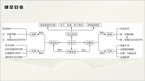 高中化学  二轮复习 导学案 电化学 原电池与电解池