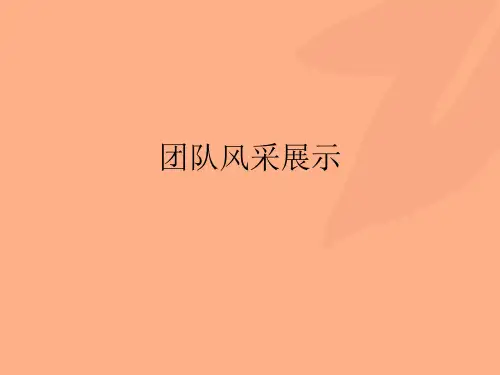 团队风采展示