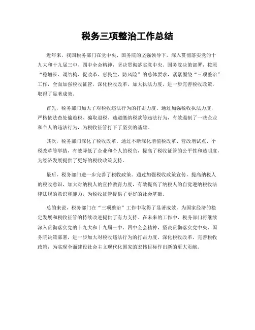 税务三项整治工作总结