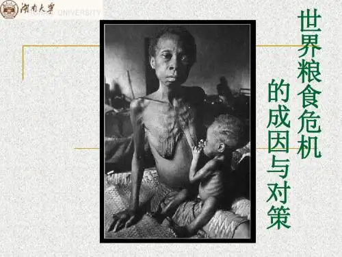 世界粮食危机的成因与对策-文档资料