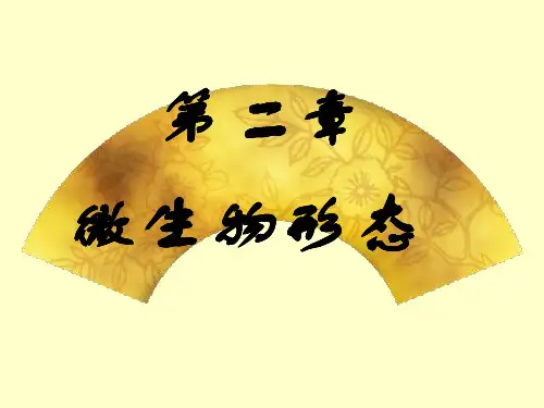 微生物形态学第二章