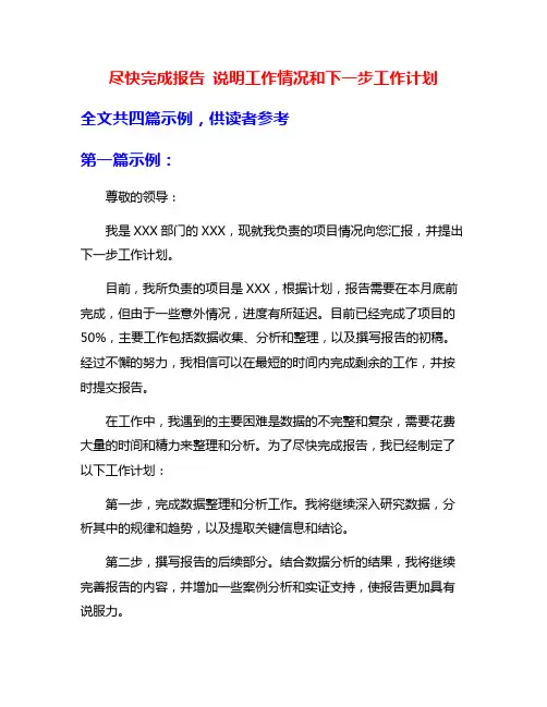 尽快完成报告 说明工作情况和下一步工作计划