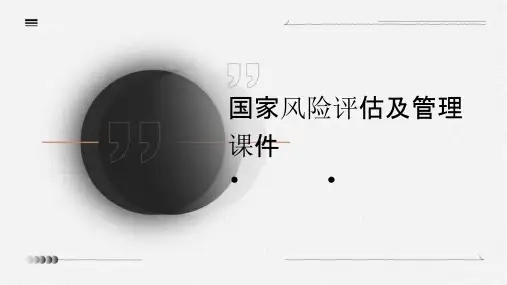 国家风险评估及管理课件