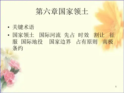 国际法 第六章