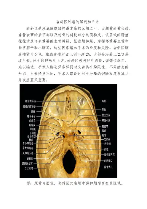 岩斜区肿瘤的解剖和手术
