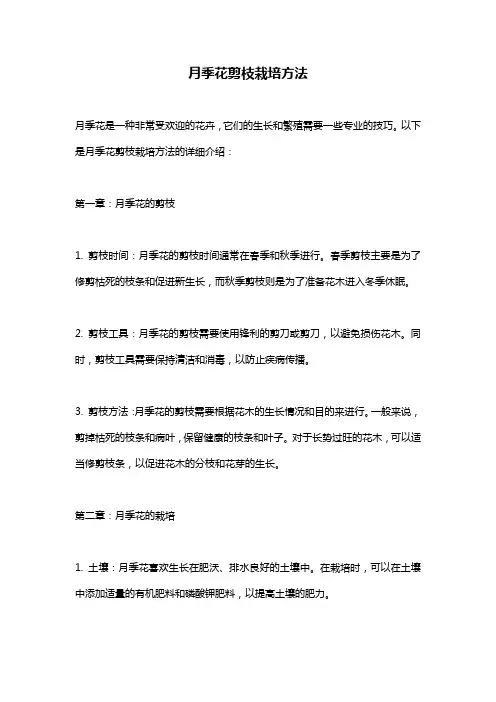 月季花剪枝栽培方法
