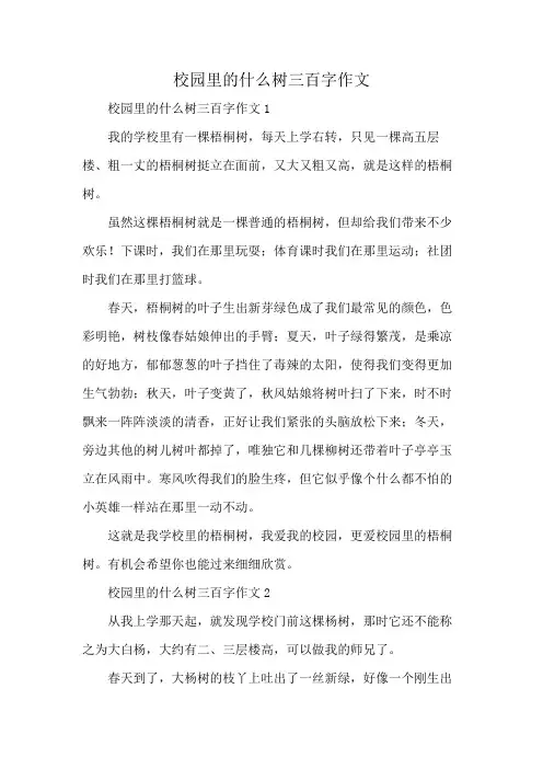 校园里的什么树三百字作文