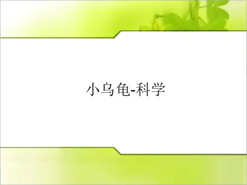 幼儿园ppt课件小乌龟--科学