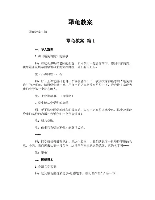 犟龟教案-专业文档!