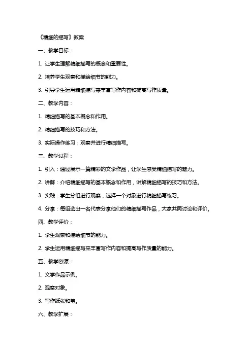 《精细的描写》教案