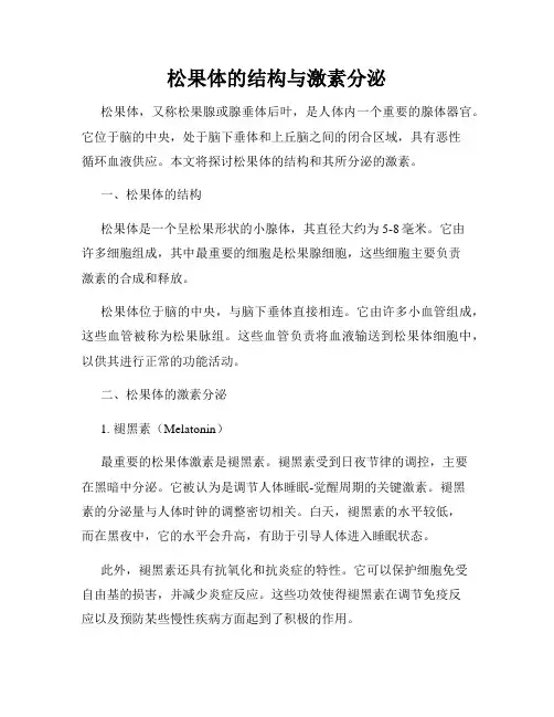 松果体的结构与激素分泌