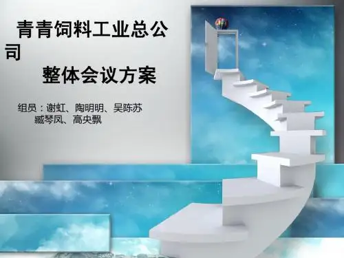 会议方案.ppt