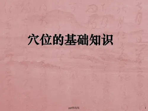 穴位的基础知识PPT课件