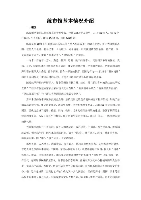 练市镇基本情况介绍