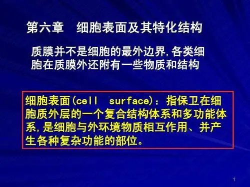 细胞生物学——第六章 细胞表面及其特化结构