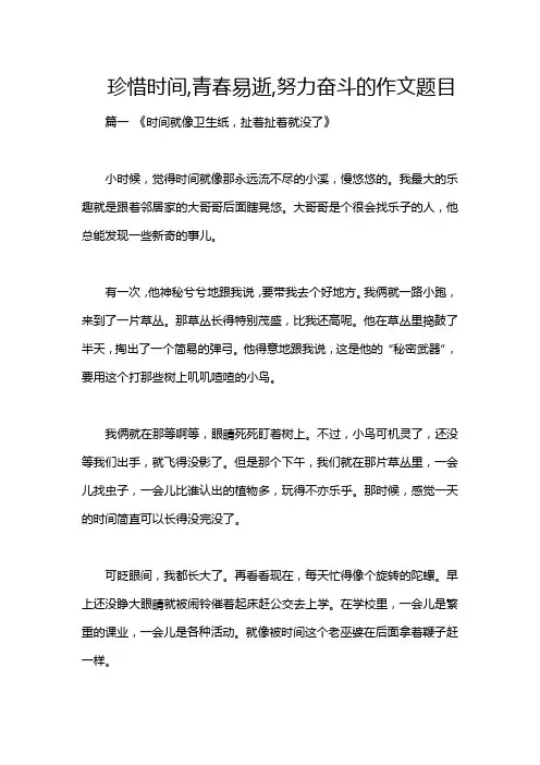 珍惜时间,青春易逝,努力奋斗的作文题目