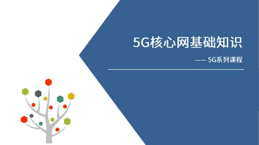 5G核心网基础知识