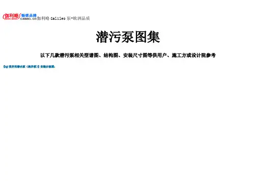 潜污泵图集