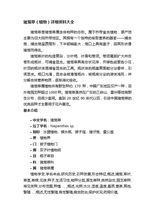 猪笼草（植物）详细资料大全