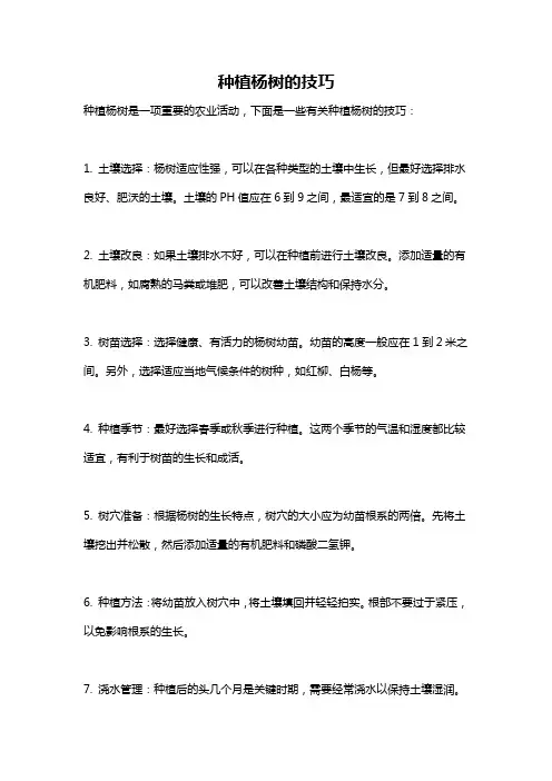 种植杨树的技巧