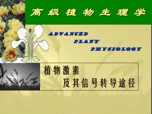 高等植物生理学-各种植物激素及其信号转导