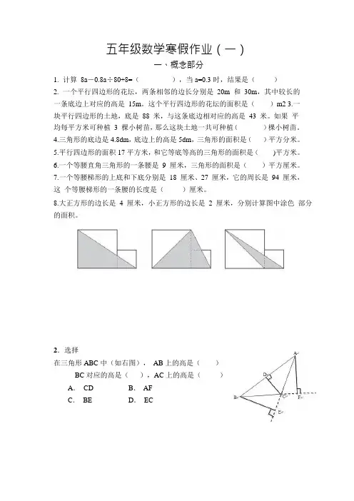2024年小学五年级数学寒假作业假期试卷(一)