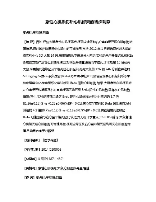急性心肌损伤后心肌修复的初步观察