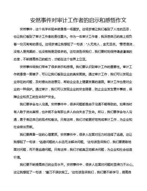 安然事件对审计工作者的启示和感悟作文