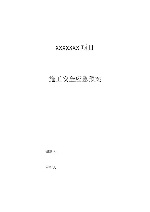 项目应急预案模版完整版