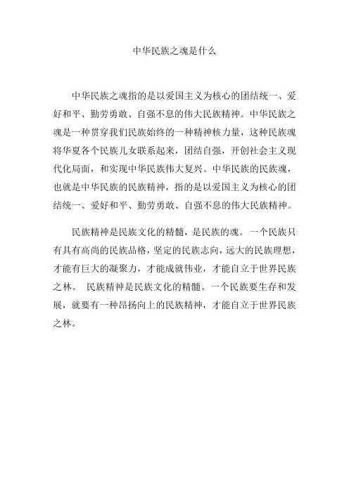 中华民族之魂是什么