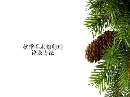 园林乔木修剪理论及方法