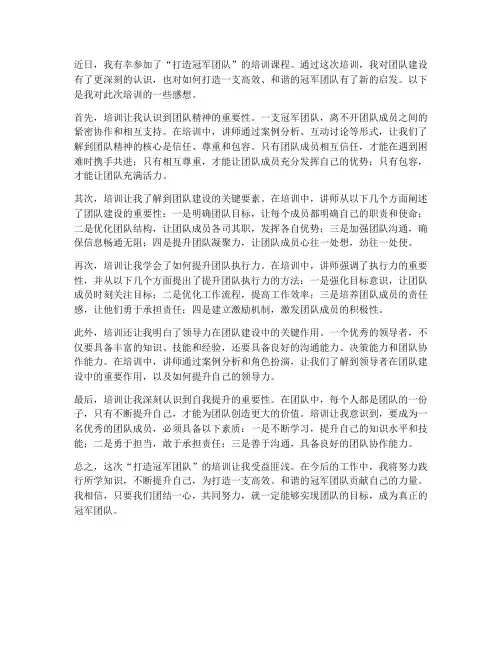 打造冠军团队培训感想