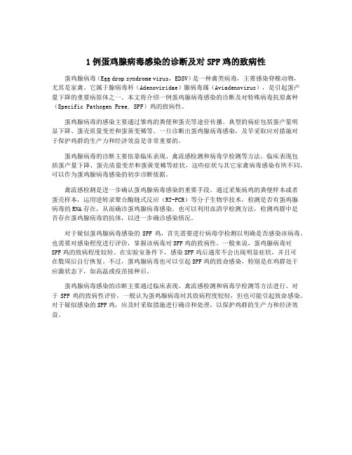 1例蛋鸡腺病毒感染的诊断及对SPF鸡的致病性