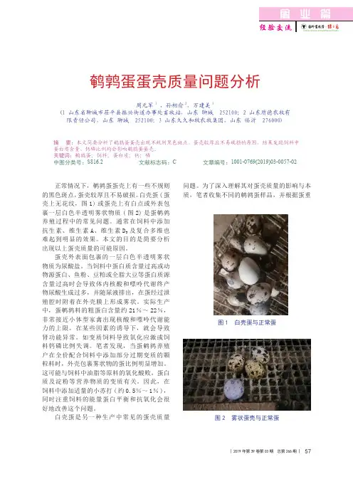 鹌鹑蛋蛋壳质量问题分析