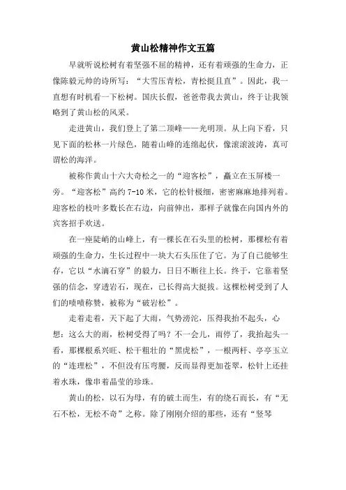 黄山松精神作文五篇.doc