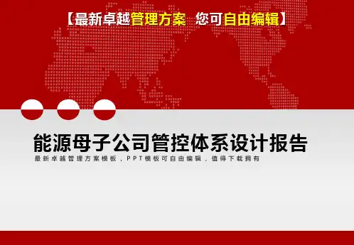 2019年能源公司母子管控体系设计报告