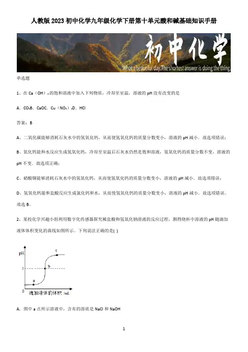 人教版2023初中化学九年级化学下册第十单元酸和碱基础知识手册