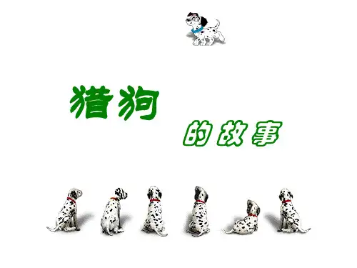 猎狗的故事
