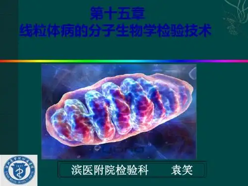 肿瘤的分子生物学检验技术ppt课件