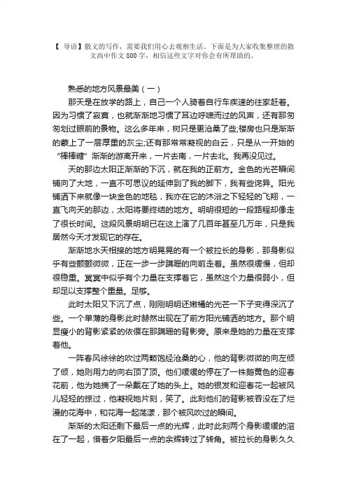 散文高中作文800字【4篇】