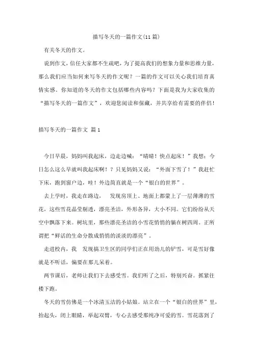 描写冬天的一篇作文(11篇)