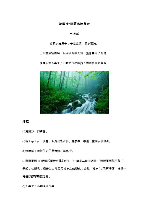 苏轼《浣溪沙 游蕲水清泉寺》全诗翻译及赏析