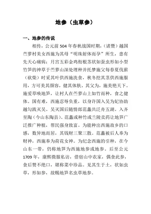 地参(虫草参)