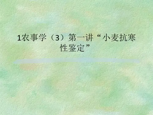 1农事学(3)第一讲“小麦抗寒性鉴定”