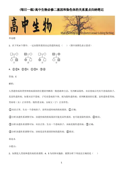 高中生物必修二基因和染色体的关系重点归纳笔记