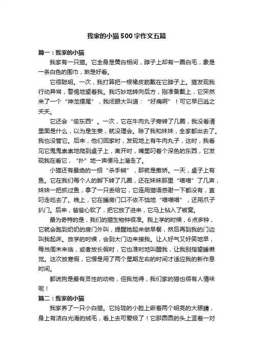 我家的小猫500字作文五篇