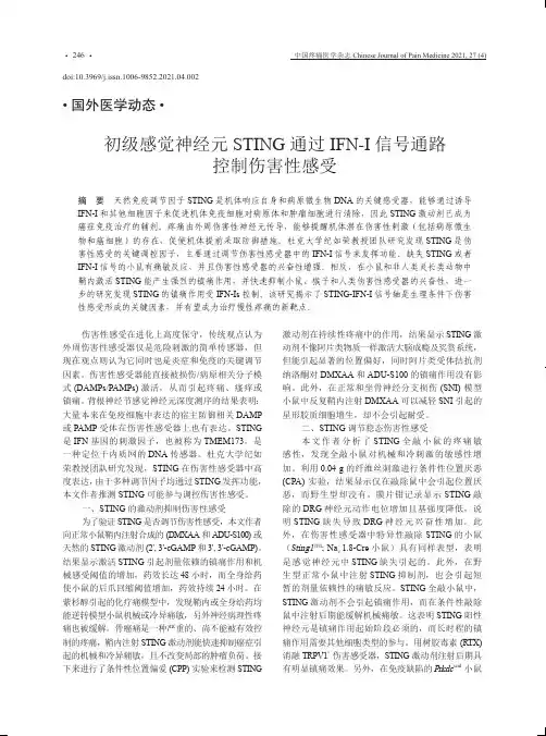 初级感觉神经元STING通过IFN-Ⅰ信号通路控制伤害性感受