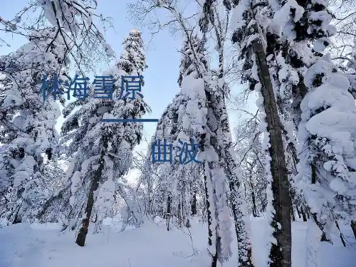 林海雪原ppt课件